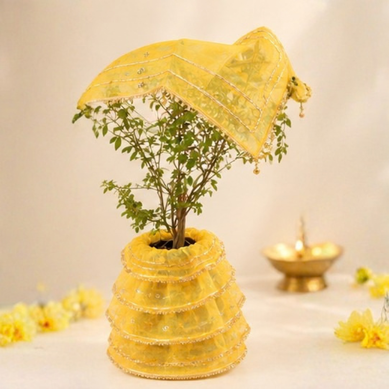 Tulsi ke vastra | Tulsi Mata Poshak | Tulsi Vivah Vastra
