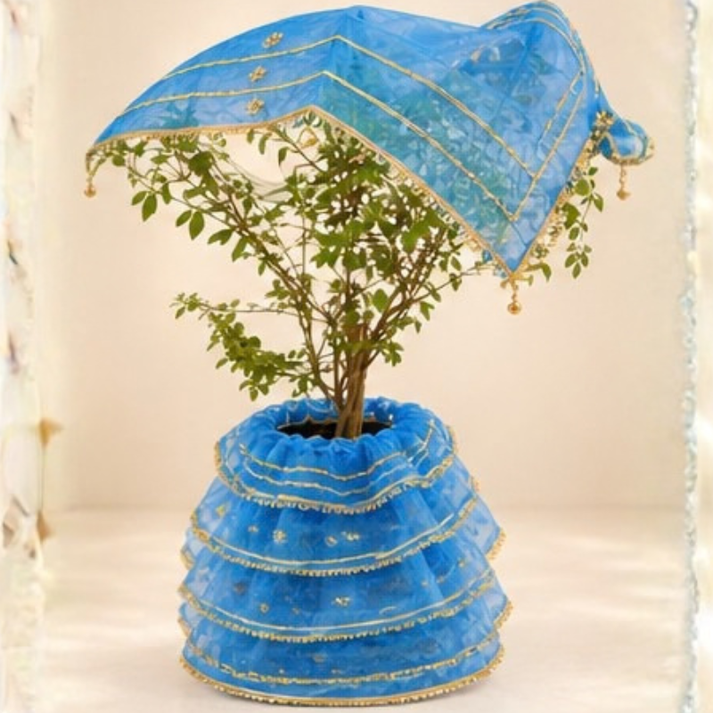 Tulsi Pot Cloth | Tulsi Mata Dress | Tulsi Vivah Vastra