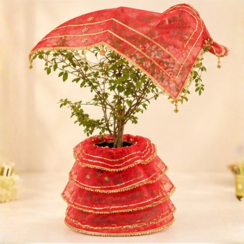 Tulsi Pot Cloth | Tulsi Mata Dress | Tulsi Vivah Poshak