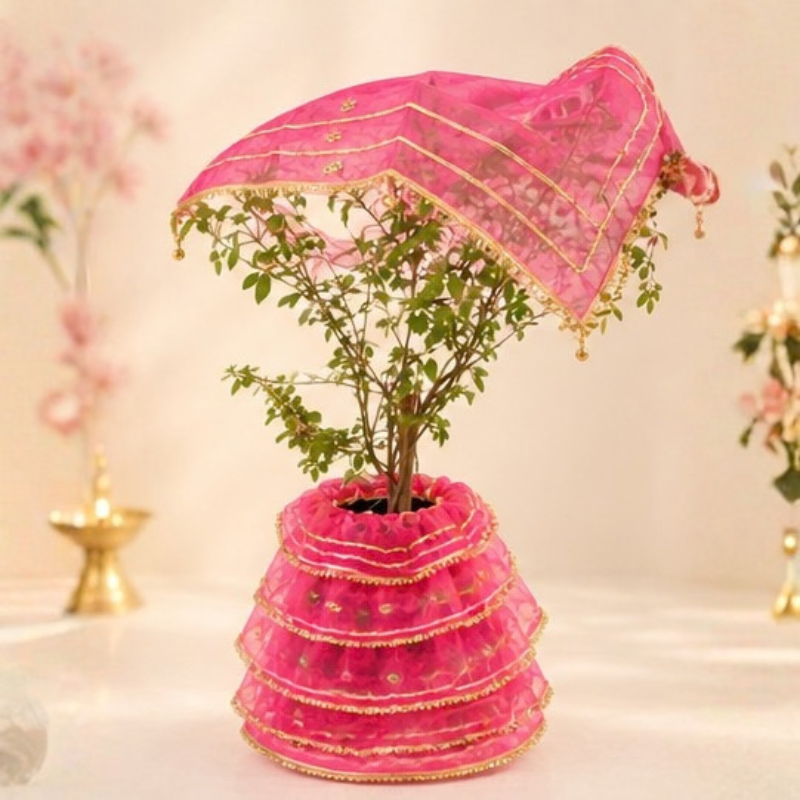 Tulsi Pot Cloth | Tulsi Mata Poshak | Tulsi Vivah Poshak